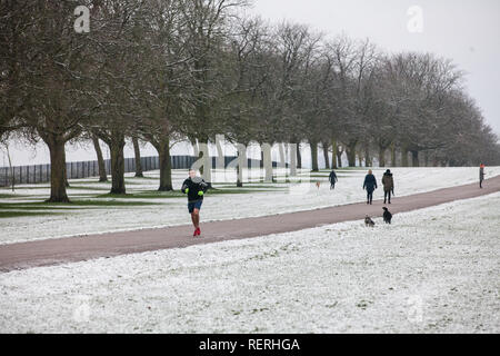 Windsor, Regno Unito. 23 gen 2019. Meteo REGNO UNITO: l'anno della prima spolverata di neve a fianco della lunga passeggiata in Windsor Great Park. Oggi le previsioni per Berkshire è freddo, con le magie di sole e un rischio di docce invernale. Gli automobilisti sono stati avvertiti di fare attenzione a causa delle pericolose condizioni di guida. Credito: Mark Kerrison/Alamy Live News Foto Stock