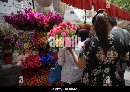 (190123) -- SINGAPORE, 23 gennaio, 2019 (Xinhua) -- la gente acquista per il nuovo anno lunare di merci presso un temporaneo Anno Nuovo Mercato nel centro della città di Singapore, 23 gennaio, 2019. (Xinhua/quindi Chih Wey) Foto Stock