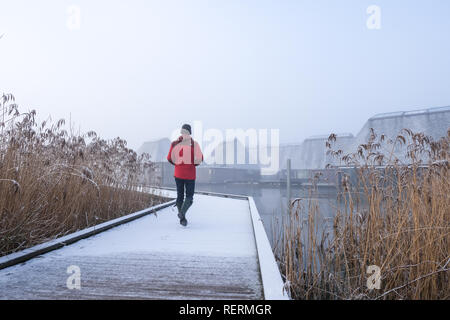 Preston, Lancashire. 23 gen 2019. Regno Unito Meteo. La nebbia e il gelo durò fino al pomeriggio in Lancashire come le temperature si è attestata intorno allo zero per tutto il giorno. Questo è Brockholes Riserva Naturale che si trova accanto all'autostrada M6. Limitazioni di velocità sono state in luogo a causa delle cattive condizioni meteorologiche. Credito: Paolo Melling/Alamy Live News Foto Stock