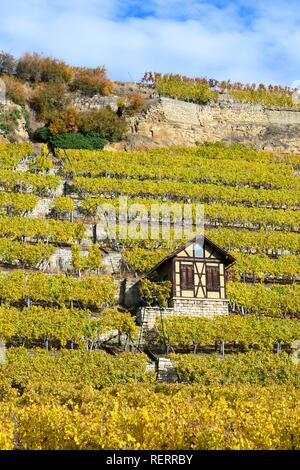 Weinberghäuschen, vicino a Bad Cannstatt, Stoccarda, Baden-Württemberg, Germania Foto Stock