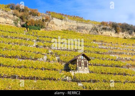 Weinberghäuschen, vicino a Bad Cannstatt, Stoccarda, Baden-Württemberg, Germania Foto Stock