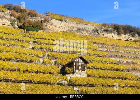 Weinberghäuschen, vicino a Bad Cannstatt, Stoccarda, Baden-Württemberg, Germania Foto Stock