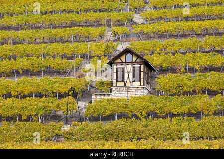 Weinberghäuschen, vicino a Bad Cannstatt, Stoccarda, Baden-Württemberg, Germania Foto Stock