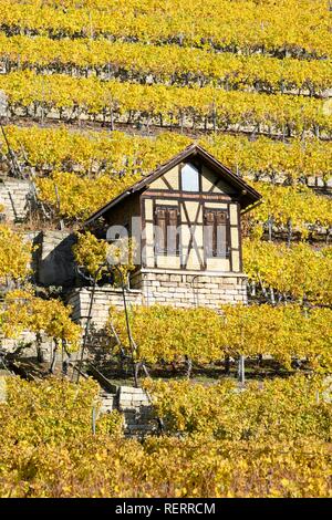 Weinberghäuschen, vicino a Bad Cannstatt, Stoccarda, Baden-Württemberg, Germania Foto Stock