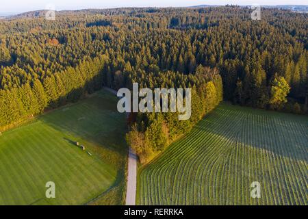 La foresta di abete rosso, campo sportivo e il prato, vicino Dietramszell, drone vista, Alta Baviera, Baviera, Germania Foto Stock
