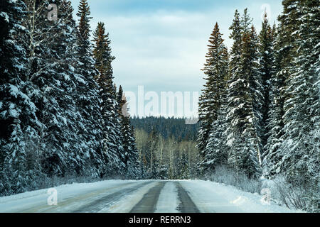 Neve e ghiaccio coperto la strada attraverso il Bow Valley Parkway innevato con alberi di pino su entrambi i lati. Nessun Auto Foto Stock