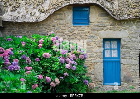 Cottage con tetto in paglia, Kerhinet village, Parco Naturale Regionale di La Brière o Grande Brière, Pays de Loire, Francia Foto Stock