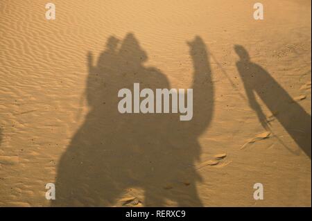 Ombra del cammello piloti nella sabbia, Jaisalmer, deserto di Thar, Rajasthan, India, Asia del Sud Foto Stock