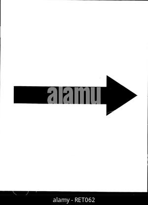 . La narrazione di una spedizione attraverso la parte superiore del Mississippi al Lago Itasca, la fonte reale di questo fiume [microformati] : abbracciando un viaggio esplorativo attraverso il St. Croix e Burntwood (o) Broule fiumi nel 1832, sotto la direzione di Henry R. Schoolcraft. Storia naturale; Sciences Naturelles. . Si prega di notare che queste immagini vengono estratte dalla pagina sottoposta a scansione di immagini che possono essere state migliorate digitalmente per la leggibilità - Colorazione e aspetto di queste illustrazioni potrebbero non perfettamente assomigliano al lavoro originale. Schoolcraft, Henry Rowe, 1793-1864. New York : Harper &AMP; Fratelli Foto Stock