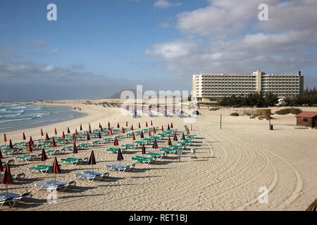 Sedie a sdraio in spiaggia con dune di sabbia, Grandes Playas, vicino a Corralejo nel nord dell isola di Fuerteventura Foto Stock