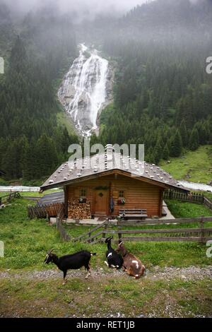 Cascata Grawa e Grawa Alm nella Valle dello Stubai in Tirolo, Austria, Europa Foto Stock