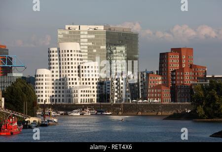 Media Harbour, Neuer Zollhof, edifici progettati dall'architetto Frank Owen Gehry, di fronte al palazzo Stadttor Foto Stock