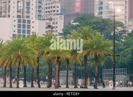 Victoria Park di Hong Kong, Cina, pieno di persone godendo di attività ricreative nel parco con bellissimi alberi con foglie verdi e gli edifici dietro. Foto Stock