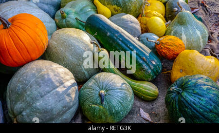 Inverno spremute e zucche 3. Foto Stock