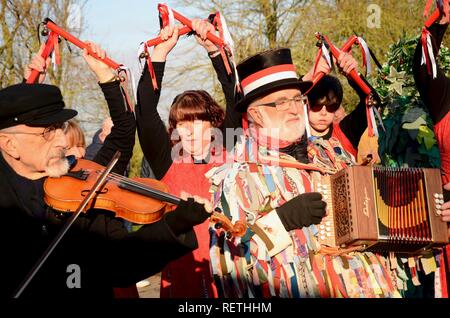 Musicisti suonano per la morris ballerine alla celebrazione Wassail a sidro Skidbrooke Company, Lincolnshire, Inghilterra. Foto Stock