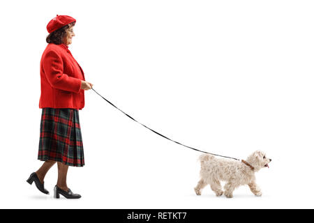 Lunghezza piena ripresa del profilo di una vecchia signora camminare un po' di cane bianco isolato su sfondo bianco Foto Stock