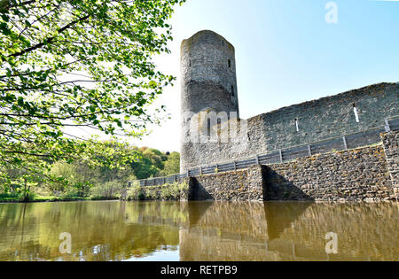 Burgruine Baldenau, Deutschland, Renania-Palatinato, Hunsrueck, Morbach, Wasserburg, Burgfried, Dhrontal Foto Stock