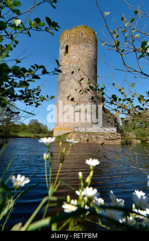 Burgruine Baldenau, Deutschland, Renania-Palatinato, Hunsrueck, Morbach, Wasserburg, Burgfried, Dhrontal Foto Stock