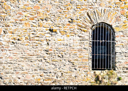Burgruine Baldenau, Deutschland, Renania-Palatinato, Hunsrueck, Morbach, Wasserburg, Dhrontal Foto Stock