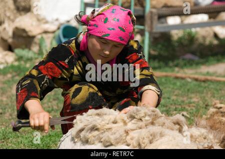 Donna kazaka tranciatura di una pecora, Kazakistan Foto Stock