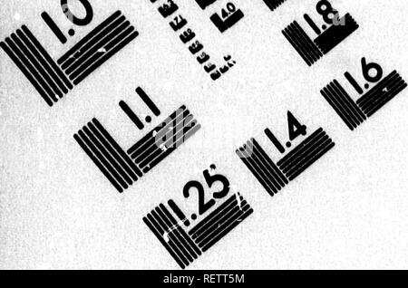 . Godfrey's racconto dell'ultima Grinnell Arctic esplorare txpedition [sic] in cerca di Sir John Franklin, 1853-4-5 [microformati] : con una biografia del dottor Eliseo K. Kane, dalla culla alla tomba. Kane, Eliseo Kent, 1820-1857; Kane, Eliseo Kent, 1820-1857; anticipo (nave); anticipo (Navire); spedizioni scientifiche; Expéditions scientifiques. Valutazione di immagine il bersaglio di test (.MT-3). Si prega di notare che queste immagini vengono estratte dalla pagina sottoposta a scansione di immagini che possono essere state migliorate digitalmente per la leggibilità - Colorazione e aspetto di queste illustrazioni potrebbero non perfettamente assomigliano al originale w Foto Stock