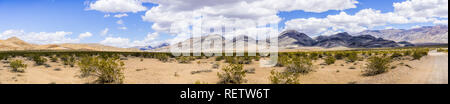 Vista panoramica di una zona remota del Parco Nazionale della Valle della Morte; cespugli di creosoto che copre il terreno sabbioso; California Foto Stock