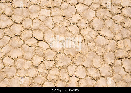 Close up essiccato incrinato il lago di letto del Racetrack Playa, il Parco Nazionale della Valle della Morte, California Foto Stock