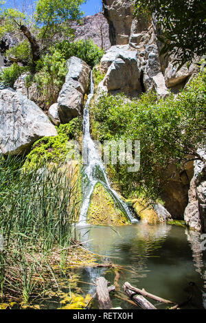 Darwin cade in una giornata di sole, Panamint Springs, area parco nazionale della Valle della Morte, California Foto Stock