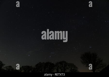 Orion e il cielo di notte nel dicembre Oakley Hampshire Foto Stock