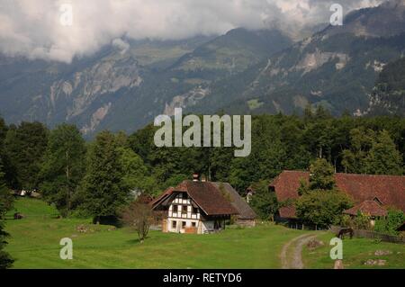 Ballenberg open air museum, Oberland bernese, Svizzera, Europa Foto Stock