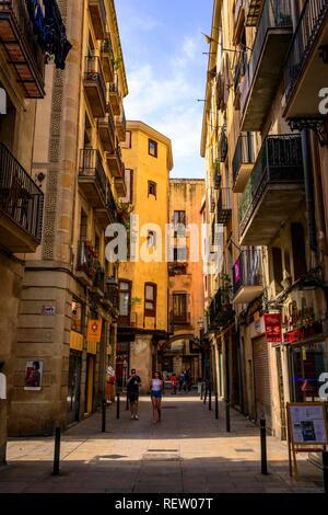 Stretto vicoletto, vicolo, tra le case, Barri Gòtic, El Gòtic, quartiere gotico, la città vecchia di Barcellona, in Catalogna, Spagna Foto Stock