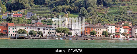 Svizzera Ticino Lago di Lugano Lugano Alpi Svizzere cittadina lacustre di Melide progetti nel lago di lakeside vigneti campanile panorama Foto Stock