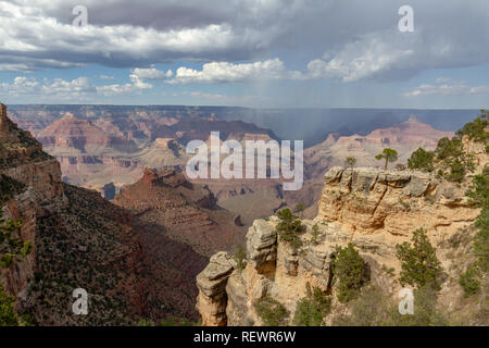 Vista del Grand Canyon dal punto di Powell, South Rim, il Parco Nazionale del Grand Canyon, Arizona, Stati Uniti. Foto Stock