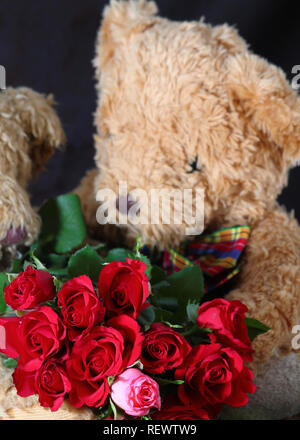 Mazzo di rose rosse e un paio di orsetti di peluche. Simpatici orsetti giovane con rose. Buon San Valentino card. Romantico biglietto di auguri per matrimonio Foto Stock