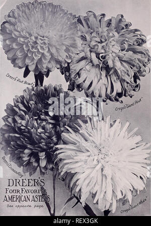 . Dreer all'ingrosso Listino prezzi primavera edizione Aprile 1910 Giugno : i semi di piante e bulbi per fioristi fertilizzanti, insetticidi, strumenti, Sundries, ecc. Lampadine (piante) cataloghi; fiori Semi cataloghi; semi di ortaggi cataloghi; Vivai (orticoltura) Cataloghi. DREERs FoqrJavoriI africani COME' vedere contrapposti, [oaqc&GT;. Si prega di notare che queste immagini vengono estratte dalla pagina sottoposta a scansione di immagini che possono essere state migliorate digitalmente per la leggibilità - Colorazione e aspetto di queste illustrazioni potrebbero non perfettamente assomigliano al lavoro originale. Henry A. Dreer (Azienda); Henry G. Gilbert vivaio e commercializzazione di sementi Foto Stock