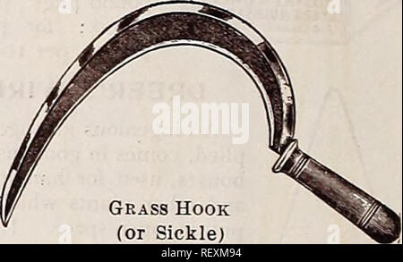 . Dreer all'ingrosso listino prezzi : semi di piante aquatics lampadine, ecc. i semi di ortaggi, attrezzi, fertilizzanti, Sundries, ecc. Lampadine (piante) cataloghi; fiori Semi cataloghi; semi di ortaggi cataloghi; Vivai (orticoltura) Cataloghi. La perfezione. Si prega di notare che queste immagini vengono estratte dalla pagina sottoposta a scansione di immagini che possono essere state migliorate digitalmente per la leggibilità - Colorazione e aspetto di queste illustrazioni potrebbero non perfettamente assomigliano al lavoro originale. Henry A. Dreer (Azienda); Henry G. vivaio di Gilbert e il commercio di sementi Catalogo Collezione. Philadelphia, Pa. : Henry A. Dreer Foto Stock