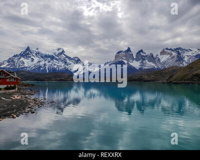 La fauna selvatica e la natura al Parque Torres del Paine, Cile, Patagonia Foto Stock