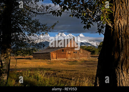 WY02894-00...WYOMING - vecchio fienile con i Teton Range sullo sfondo situato lungo la storica mormone riga nel Parco Nazionale di Grand Teton. Foto Stock