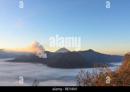 Sunrise al bromo Tengger Semeru National Park, East Java, Indonesia Foto Stock