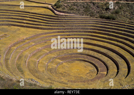 Moray è un sito archeologico in Perù circa 50 km a nord-ovest di Cuzco su un altopiano a circa 3500 m. Foto Stock