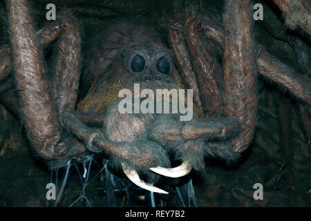 Close-up di Aragog, un ragno gigante, possedute da Rubeus Hagrid, al Warner Brothers Studio Tour, Leavesdon Foto Stock