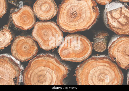 Sezione trasversale di molti tronchi di alberi. Colori opachi Foto Stock