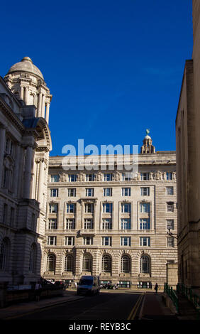 Uccello di fegato oltre la Cunard Building Foto Stock