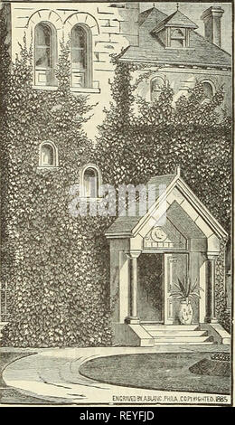 . Dreer trimestrale della lista all'ingrosso per fiorai e giardinieri di mercato. Lampadine (piante) cataloghi; fiori Semi cataloghi; semi di ortaggi cataloghi; Vivai (orticoltura) Cataloghi. 24 DREER ALL'INGROSSO LISTA PER Amaryllis. Abbiamo un bel stock delle seguenti varietà di lampadine di grandi dimensioni che offriamo a prezzi notevolmente ridotti. Per dozzina. Per 100. Formosissima,, $1 50 8 $ 00 Retina, 3 00 20 00 Johnsoni, 3 00 20 00 Longiflora Alba (Hardy,) 3 00 20 00 rosea, " 3 00 20 00. ^fELOp^ ffinsp. Un interamente hardy Ampelopsis di origine giapponese. Si aggrappa saldamente a qualsiasi parete, albero, ecc. Le foglie sono s Foto Stock