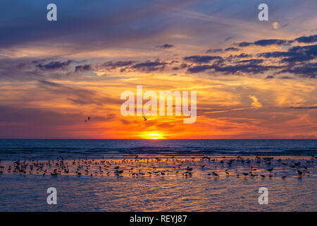 Tramonto sul mare Foto Stock