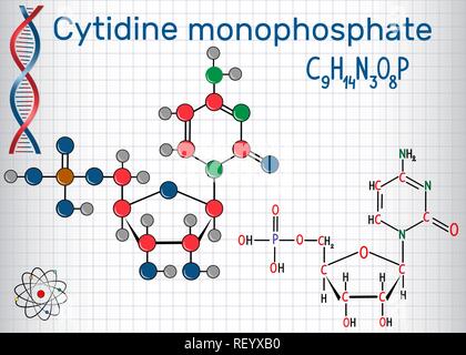 Citidina monofosfato (CMP), la molecola di monomero in RNA . Foglio di carta in una gabbia. Formula chimica di struttura e la molecola modello. Vector illustrat Illustrazione Vettoriale