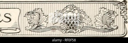 . Catalogo di Mount Hope vivai stabilito 1840. Vivai (orticoltura) cataloghi; Rose semi cataloghi; Fragole cataloghi; lampadine (piante) Cataloghi Cataloghi di frutta; fiori cataloghi. WsMtmg&amp;SgJEgggmssm AOUNT speranza vivai. ARENARIA. Sandwort A. caespitosa. Un bel po' di piante alpine, crescendo in fitte masse; moss-come fogliame; fiori starry-bianco, per tutta l'estate; 3 pollici. Maggio. 15c ciascuno; 10 per il SI.20. L'armeria. La parsimonia, mare rosa 15c ciascuno; 10 per $1.30. A. Cephalotus. Profondo rosso; 18 pollici. A. formosa. Stretto, erba-come le foglie e i fiori bianchi in capi su lunghi steli. A. Laucheana. V Foto Stock