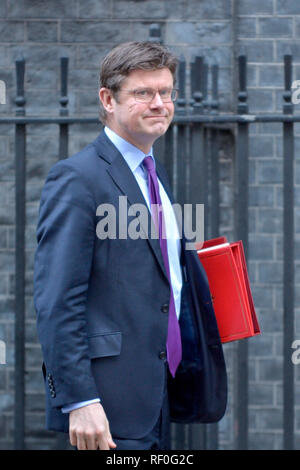 Greg Clark MP (Segretario di Stato per gli affari, di energia e di strategia industriale) lasciando Downing Street dopo una riunione del gabinetto, LONDRA, REGNO UNITO, 22.01.2019 Foto Stock