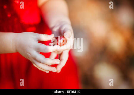 Dita del bambino in azienda di colore ROSSO CHESTNUT Foto Stock