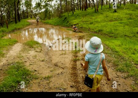 I bambini a piedi lungo una trazione a quattro ruote motrici via attraverso una foresta, Mia Mia la foresta di stato, Queensland, Australia Foto Stock